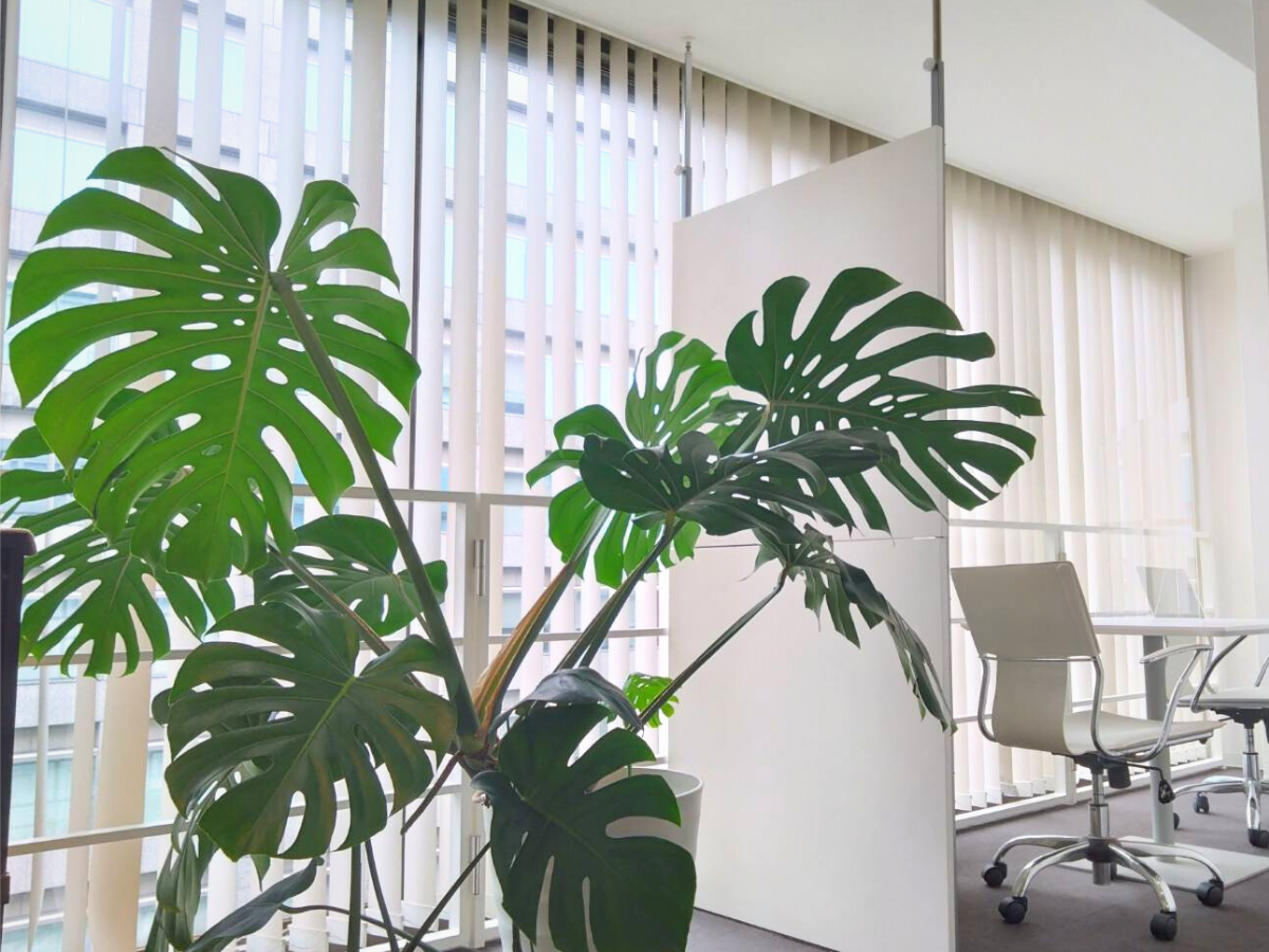 VIO脱毛のカウンセリングルーム